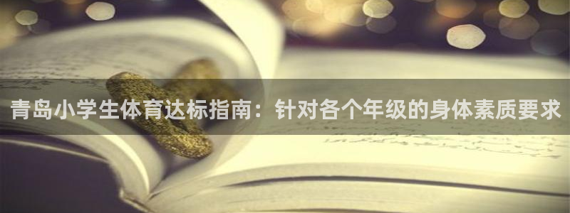 星欧娱乐扣款时间查询方法